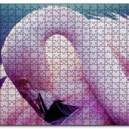 Cakapuzzle Pembe Flamingo Dinlenirken Görsel Mdf 120 Parça Puzzle