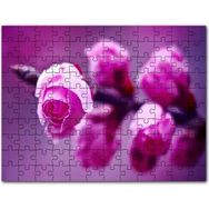 Cakapuzzle Pembe Gül Dalı Görseli 255 Parça Puzzle