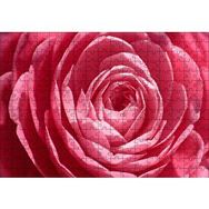 Cakapuzzle Pembe Gül Makro 255 Parça Puzzle