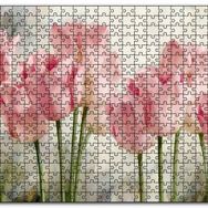 Cakapuzzle Pembe Laleler Yağlıboya Mdf 120 Parça Puzzle