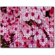 Cakapuzzle Pembe Plumeria Çiçekleri 255 Parça Puzzle
