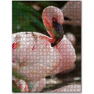 Cakapuzzle Pembeli Beyazlı Amerikan Flamingosu Görseli Ahşap 500 Parça Puzzle