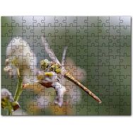 Cakapuzzle Perisi ve Buğday Başakları Mdf 120 Parça Puzzle