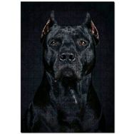 Cakapuzzle Pitbull Cinsi Köpek Mdf 1000 Parça Puzzle