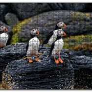 Cakapuzzle Puffin Bird Beak Rock Mdf 1000 Parça Puzzle