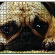 Cakapuzzle Pug Cinsi Köpek Mdf 120 Parça Puzzle