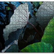 Cakapuzzle Renkli Dev Yapraklar Mdf 500 Parça Puzzle
