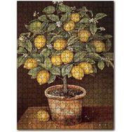 Cakapuzzle Saksıda Limon Ağacı Resm Görseli Ahşap 255 Parça Puzzle