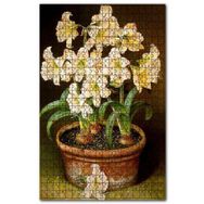 Cakapuzzle Saksıda Soğanlı Çiçekler Resmi Ahşap 255 Parça Puzzle