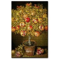 Cakapuzzle Saksıdaki Olgun Narlar Görseli Ahşap 1000 Parça Puzzle