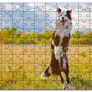 Cakapuzzle Sarı Çayırda Zıplayan Kahverengi Beyaz Köpek Mdf 255 Parça Puzzle