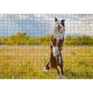 Cakapuzzle Sarı Çayırda Zıplayan Kahverengi Beyaz Köpek Yapboz MDF Puzzle