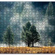 Cakapuzzle Sarı Çayırlar Sık Orman ve Sisler Mdf 1000 Parça Puzzle