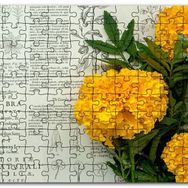 Cakapuzzle Sarı Çiçekler Bitkisel Şifa Kitabı Yaprakları Mdf 120 Parça Puzzle