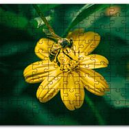 Cakapuzzle Sarı Çiçekten Polen Toplayan Arı Mdf 255 Parça Puzzle
