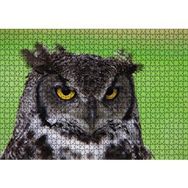 Cakapuzzle Sarı Gözlü Baykuş 1000 Parça Puzzle