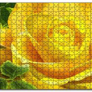Cakapuzzle Sarı Gül ve Diken Mdf 1000 Parça Puzzle