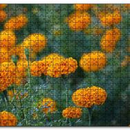 Cakapuzzle Sarı Karanfiller Görseli Mdf 120 Parça Puzzle