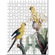 Cakapuzzle Sarı Papağanlar Muhabbeti Görseli Mdf 120 Parça Puzzle