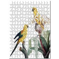 Cakapuzzle Sarı Papağanlar Muhabbeti Görseli Mdf 500 Parça Puzzle