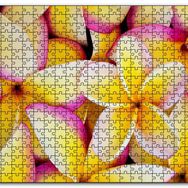 Cakapuzzle Sarı Plumeria Çiçekleri Mdf 120 Parça Puzzle