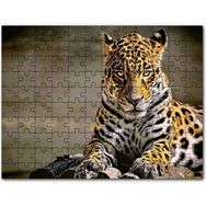 Cakapuzzle Sarı Siyah Beyaz Karışımlı Leopar Görseli 500 Parça Puzzle