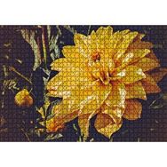 Cakapuzzle Sarı Yıldız Çiçeği Yakın Çekim 1000 Parça Puzzle