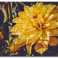 Cakapuzzle Sarı Yıldız Çiçeği Yakın Çekim Mdf 255 Parça Puzzle