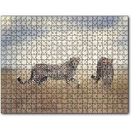 Cakapuzzle Savanada Av Hazırlığındaki Çitalar Mdf 1000 Parça Puzzle