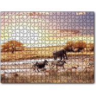 Cakapuzzle Savanada Filler Zebralar ve Antiloplar 255 Parça Puzzle