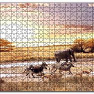 Cakapuzzle Savanada Filler Zebralar ve Antiloplar Mdf 1000 Parça Puzzle