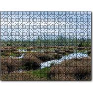 Cakapuzzle Sazlıklar ve Su Kenarında Otlar 255 Parça Puzzle