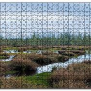 Cakapuzzle Sazlıklar ve Su Kenarında Otlar Mdf 500 Parça Puzzle