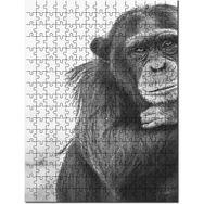 Cakapuzzle Şempanze Portre Siyah Beyaz 1000 Parça Ahşap Puzzle