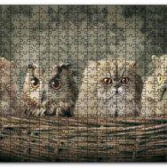 Cakapuzzle Sepetin İçinde Üç Kedi ve Bir Baykuş Mdf 1000 Parça Puzzle