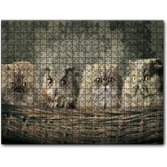 Cakapuzzle Sepetin İçinde Üç Kedi ve Bir Baykuş Mdf 120 Parça Puzzle