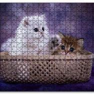 Cakapuzzle Sepette Beyaz ve Tekir Sevimli Kediler Mdf 500 Parça Puzzle