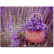 Cakapuzzle Sepette Lavantalar 255 Parça Puzzle