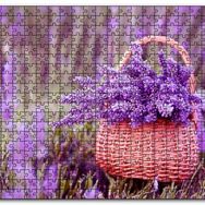 Cakapuzzle Sepette Lavantalar Mdf 500 Parça Puzzle