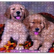 Cakapuzzle Sepetteki Yavru Köpekler Ahşap 500 Parça Puzzle