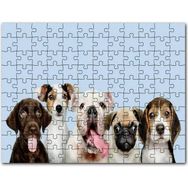 Cakapuzzle Sevimli 5 Köpek Portre Gökyüzü Arkaplan 1000 Parça Puzzle