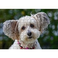 Cakapuzzle Sevimli Beyaz Terrier 120 Parça Ahşap Puzzle