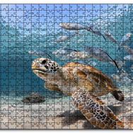 Cakapuzzle Sevimli Caretta ve Ton Balıkları Mdf 120 Parça Puzzle