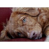 Cakapuzzle Sevimli Kahverengi Köpek Yakın Çekim 120 Parça Ahşap Puzzle