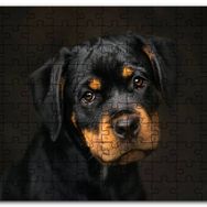 Cakapuzzle Sevimli Rottweiller Yavrusu Karanlık Arkaplan Mdf 120 Parça Puzzle