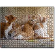 Cakapuzzle Sevimli Sarman Yavruları Mdf 1000 Parça Puzzle