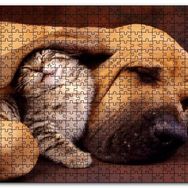 Cakapuzzle Sevimli Sharpy Köpek ve Yavru Kedi Mdf 500 Parça Puzzle