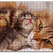 Cakapuzzle Sevimli Tekir ve Minicik Yavrusu Yakın Çekim Mdf 1000 Parça Puzzle