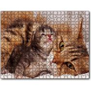 Cakapuzzle Sevimli Tekir ve Minicik Yavrusu Yakın Çekim Mdf 120 Parça Puzzle
