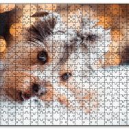Cakapuzzle Sevimli Yorkshire Terrier Mdf 120 Parça Puzzle